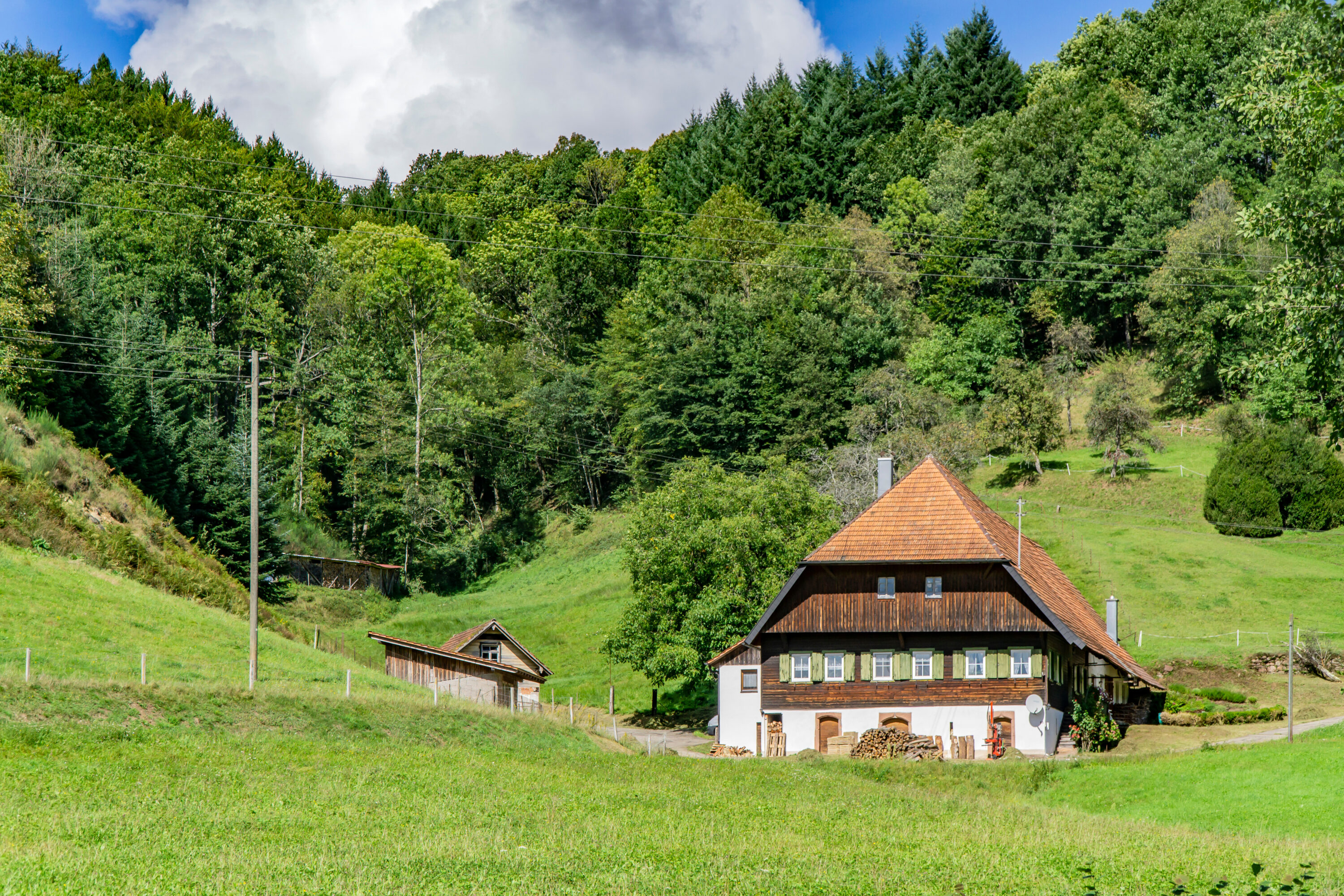 Traditionelles Schwarzwaldhaus inmitten grüner Wiesen und Wälder an einem sonnigen Tag, mit Holzstapel und Nebengebäude im Vordergrund.
