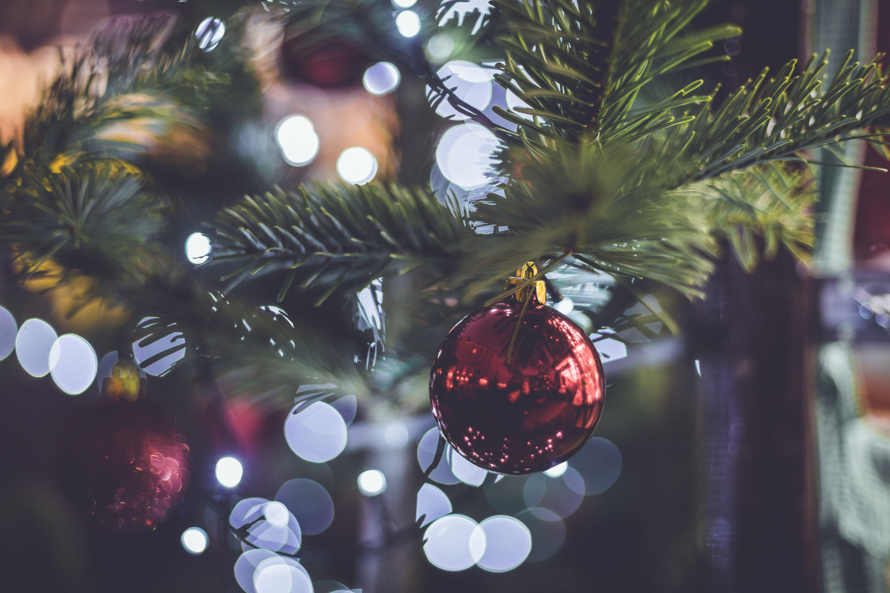 Rote Weihnachtskugel am Tannenbaum