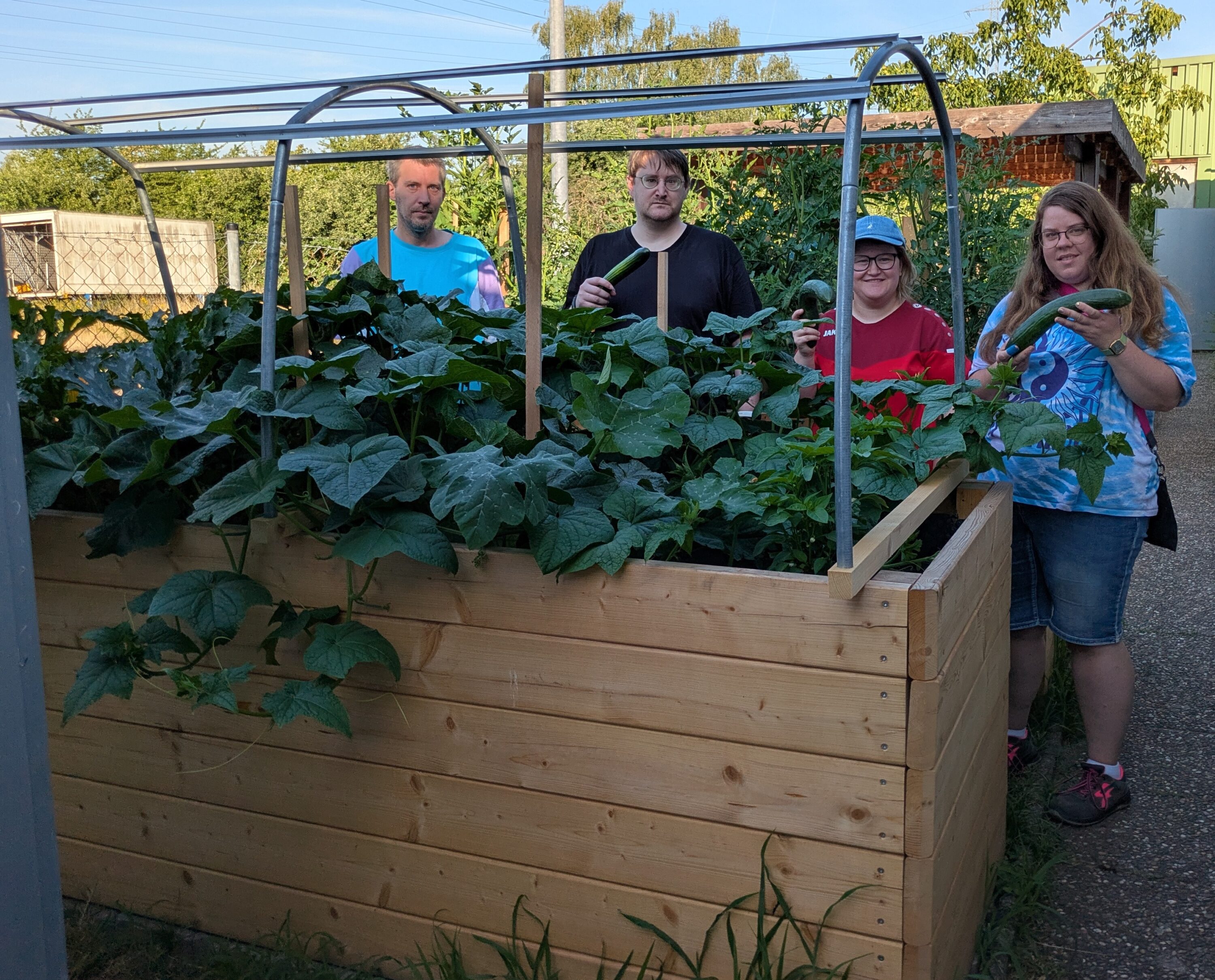 Teilnehmende des Berufsbildungsbereichs (BBB) präsentieren stolz die ersten geernteten Gurken vor dem selbst gebauten und bepflanzten Hochbeet auf dem Gelände der WfbM Aschaffenburg. Das gemeinsame Projekt verbindet handwerkliches Lernen, Teamarbeit und nachhaltiges Gärtnern.